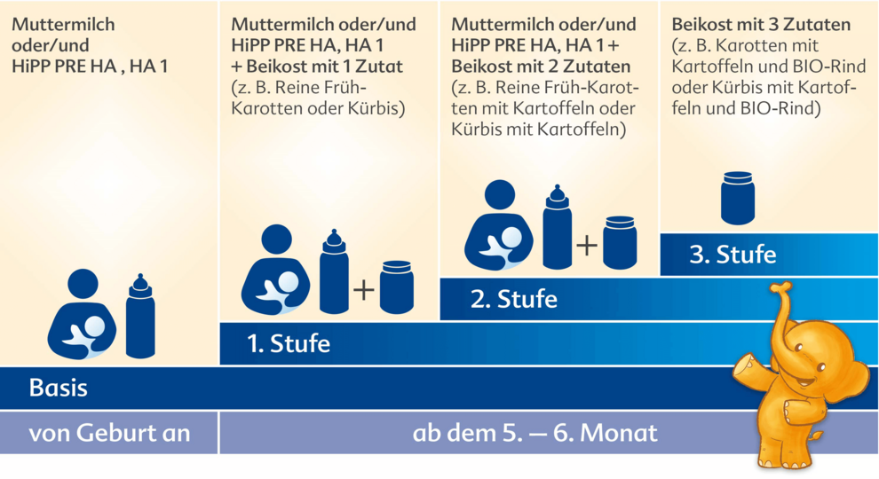 HiPP Stufenkonzept Beikost