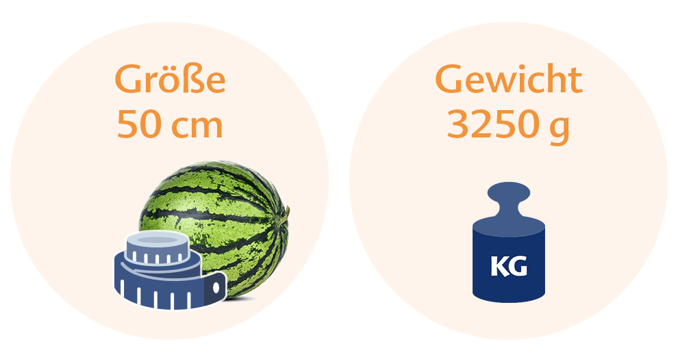 39 4 Ssw Stechen In Der Scheide SSW 39: Das ist los in der 39. Schwangerschaftswoche