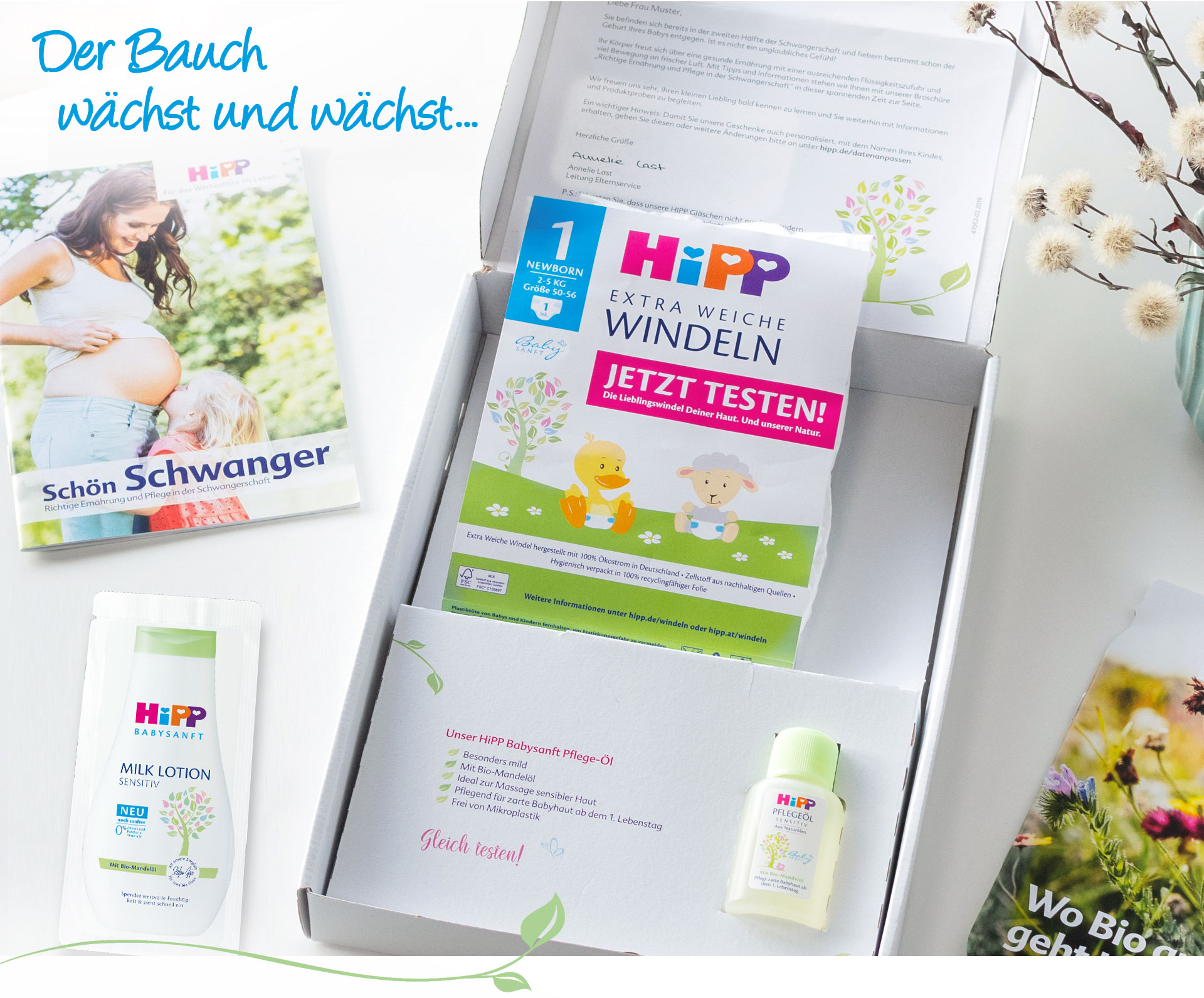 Ihr HiPP Mein BabyClub Paket gegen Ende der Schwangerschaft